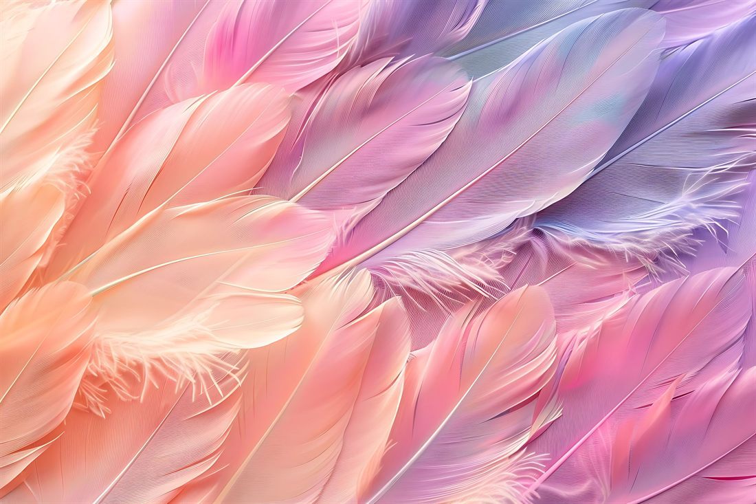 Plumes pastel aux teintes pêche, rose et lavande, évoquant la douceur et l'apaisement